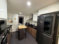 Parc Palais (D21), Condominium #573531111